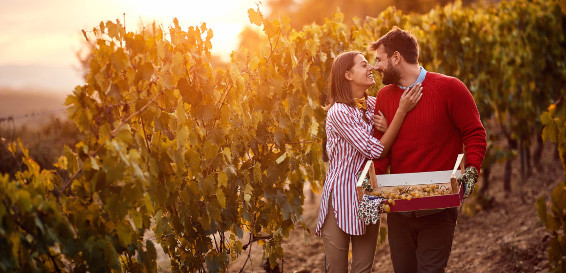 Wine and winemaking in Austria