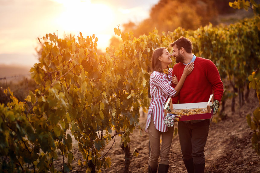 Wine and winemaking in Austria